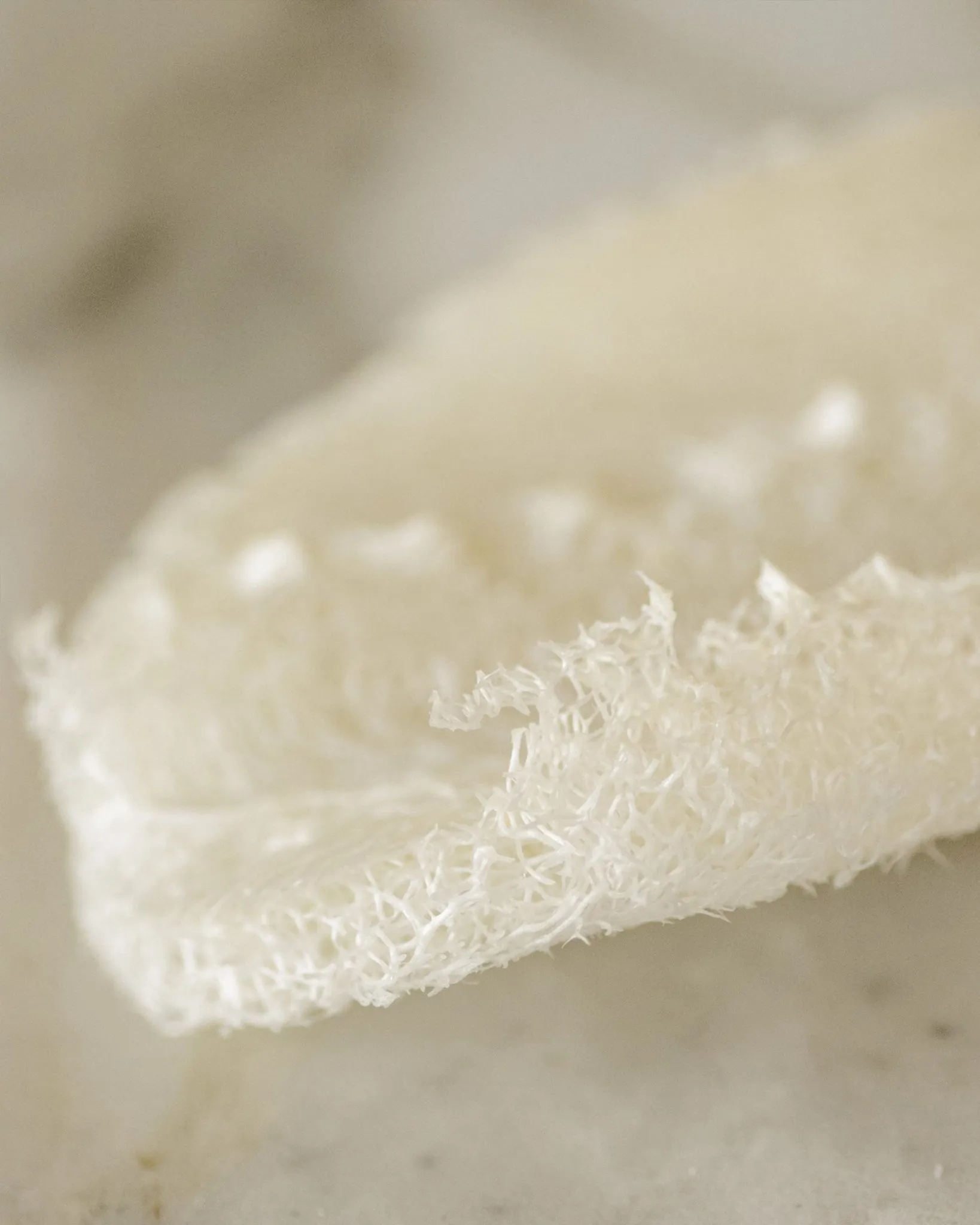 Biodegradable Eco-Sponges for Dish Washing (3 Pack)<br>No Tox Life