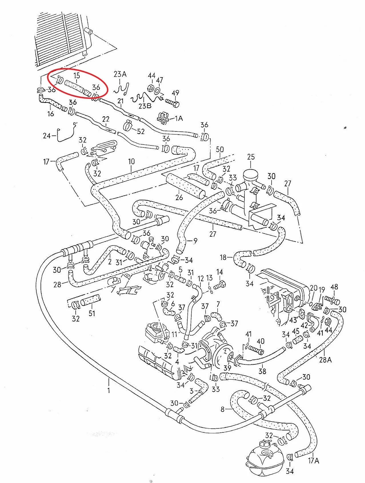 Coolant Supply Hose Radiator T3