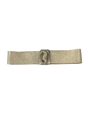 Metallic Belt