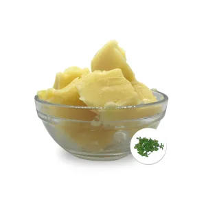 Organic Vegan Peppermint Lip Balm Base (Natural / Tinted)