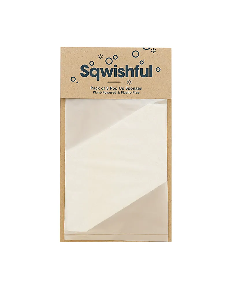 Plant-Based Sponge – 3 Sponges