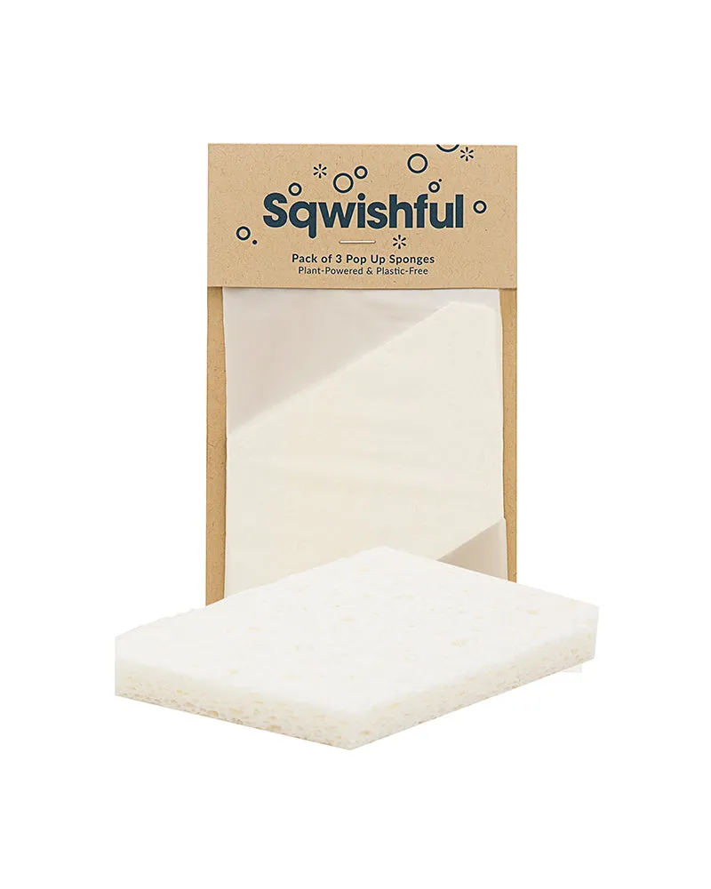 Plant-Based Sponge – 3 Sponges