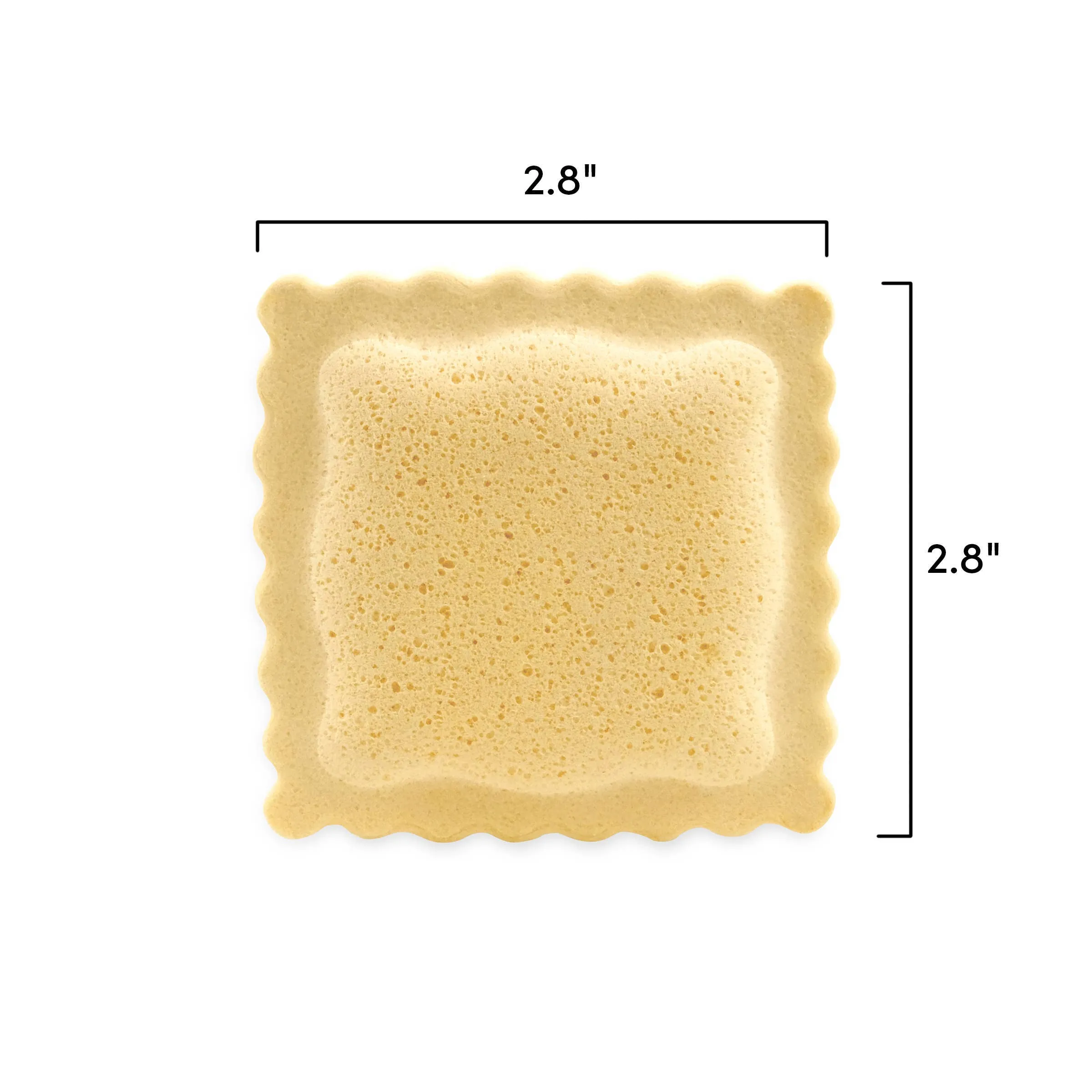 Ravioli Sponges (Set of 6)