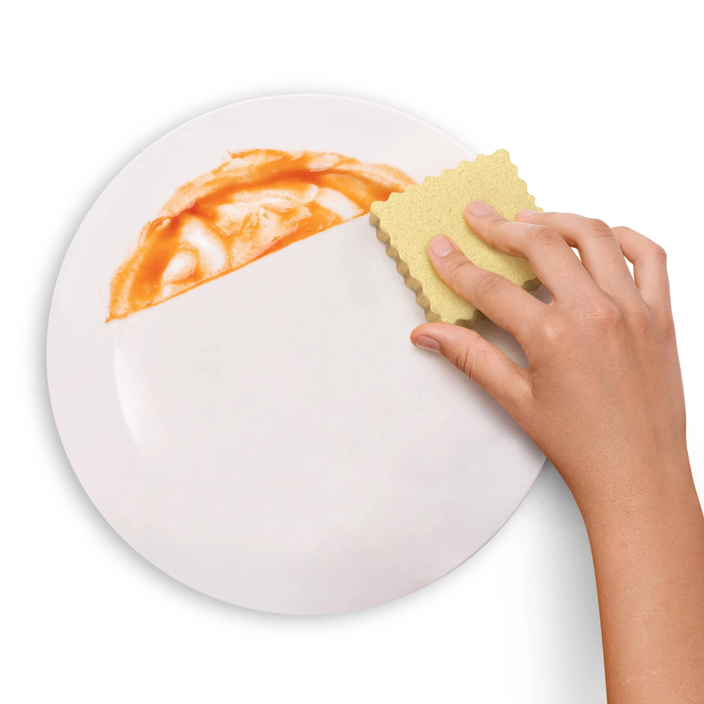 Ravioli Sponges (Set of 6)